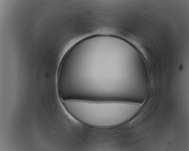 X0000093511343200710121055