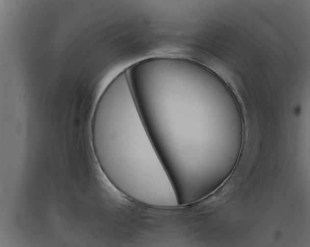X0000093511344200710121055