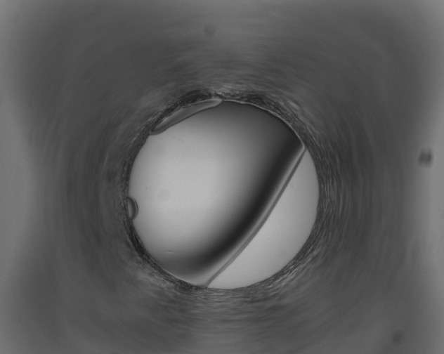 X0000093511345200710121055