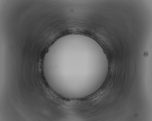X0000093511346200710121055
