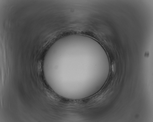 X0000093511347200710121055