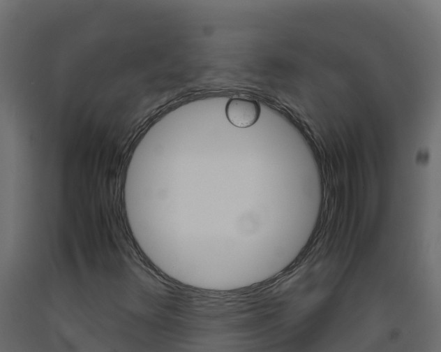 X0000093511348200710121055