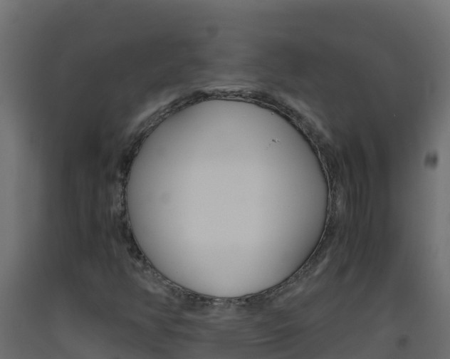 X0000093511350200710121055