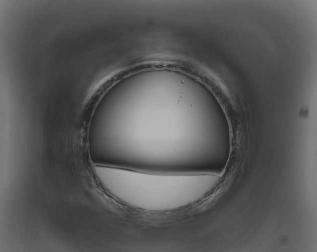 X0000093511352200710121055