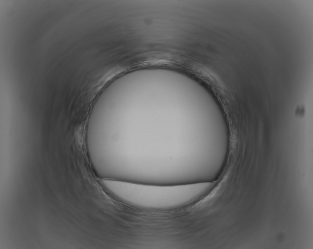 X0000093511353200710121055
