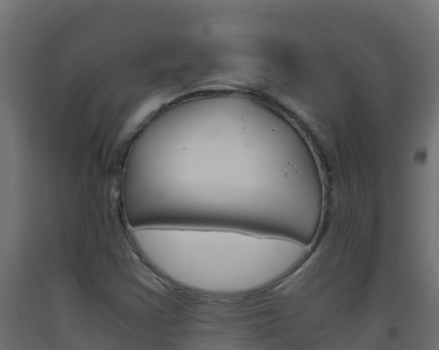 X0000093511355200710121055