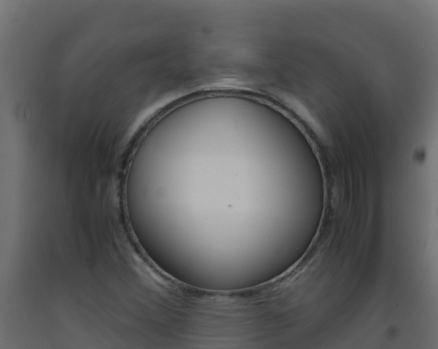 X0000093511356200710121055