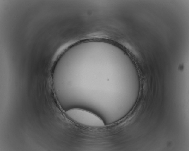 X0000093511358200710121055