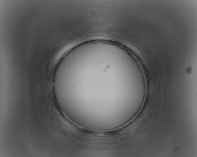 X0000093511359200710121055