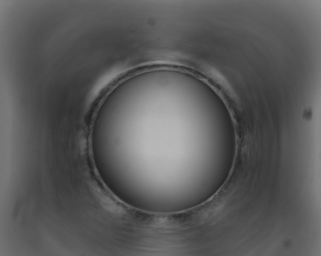 X0000093511360200710121055