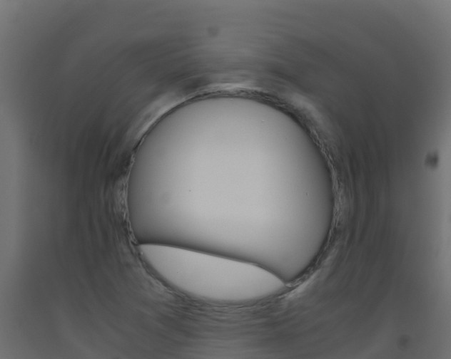 X0000093511361200710121055