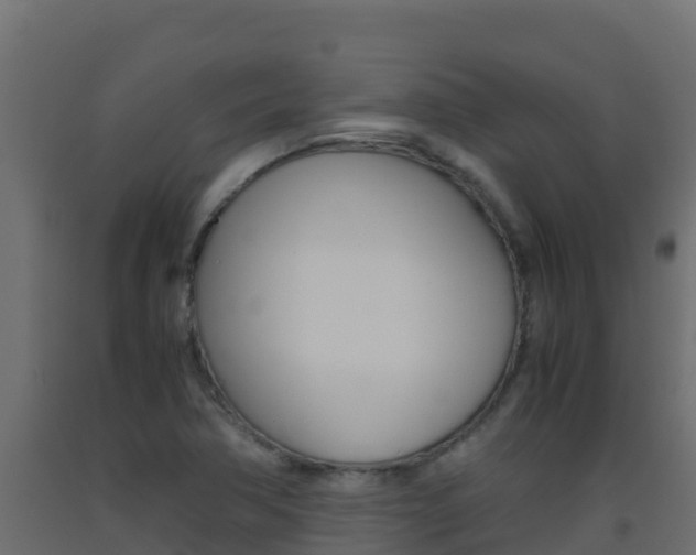 X0000093511362200710121055