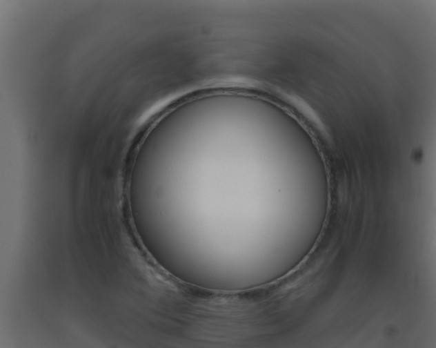 X0000093511364200710121055