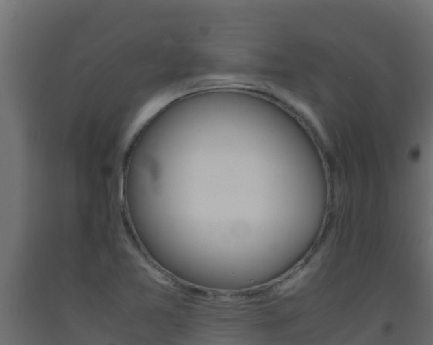 X0000093511365200710121055