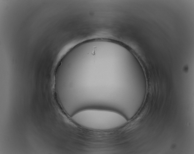 X0000093511366200710121055