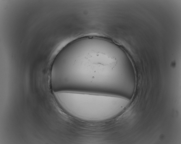 X0000093511367200710121055
