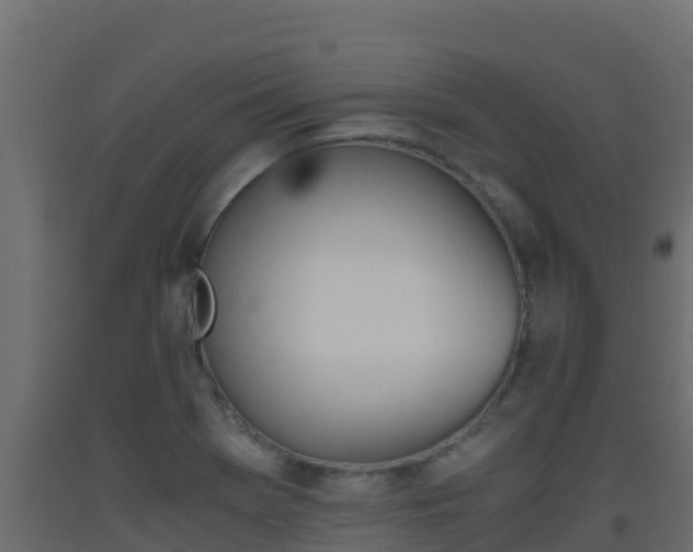 X0000093511369200710121055