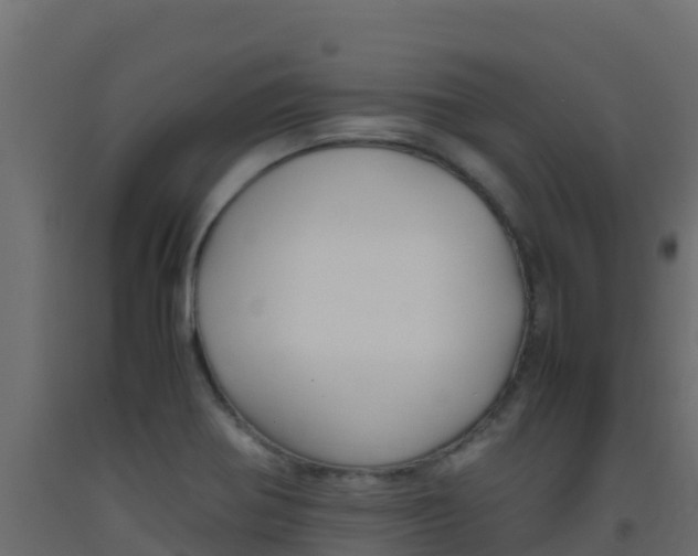 X0000093511370200710121055