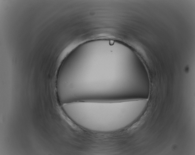 X0000093511373200710121054