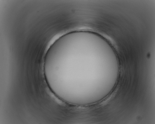 X0000093511374200710121054