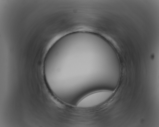 X0000093511375200710121054