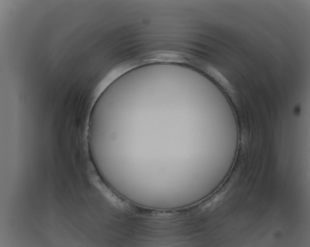 X0000093511378200710121054