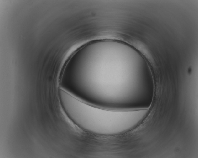 X0000093511380200710121054