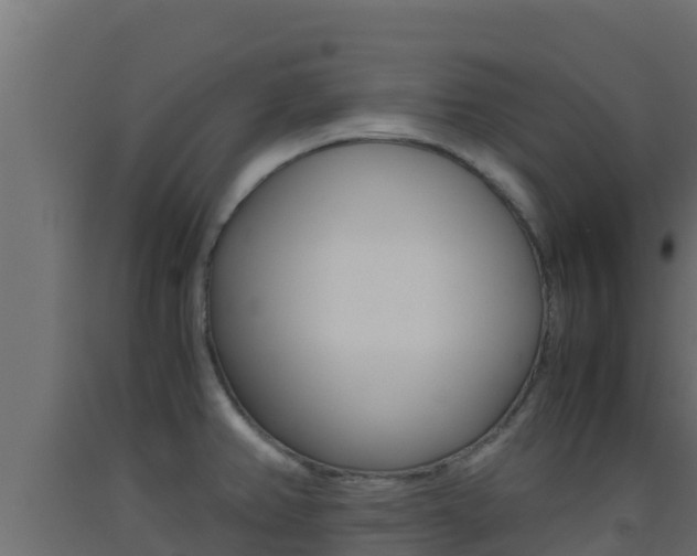 X0000093511382200710121054
