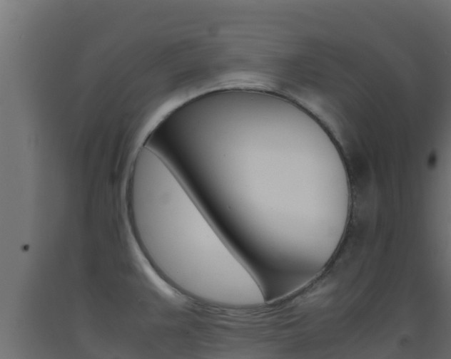 X0000093511383200710121054