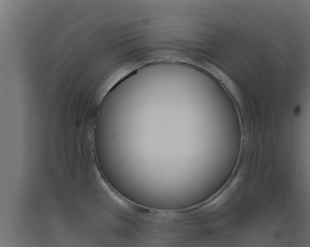 X0000093511385200710121054