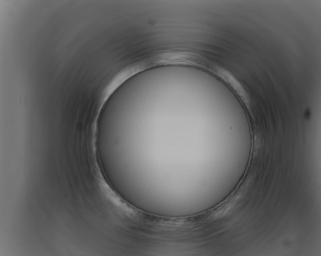 X0000093511386200710121054