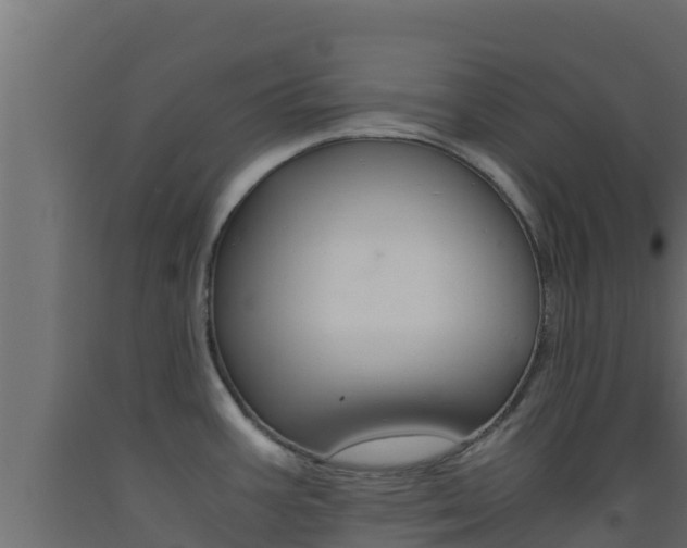 X0000093511387200710121054