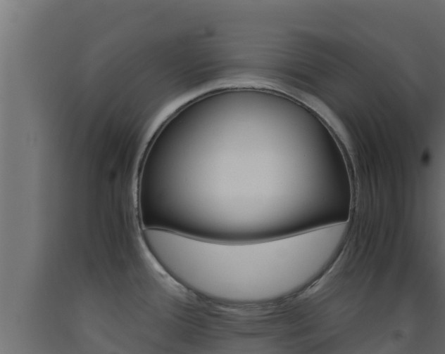 X0000093511388200710121054
