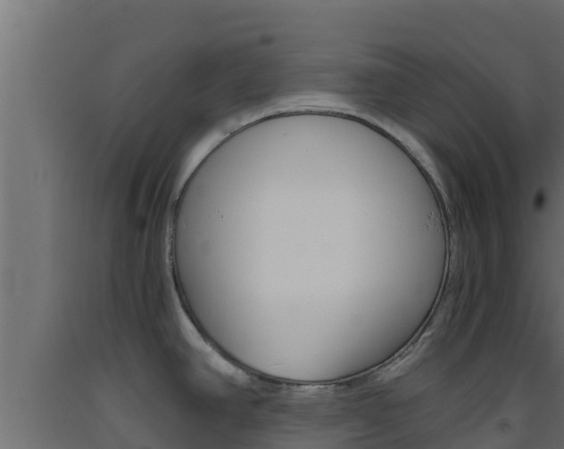 X0000093511390200710121054