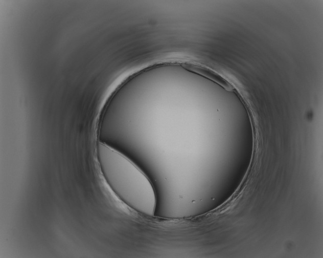 X0000093511392200710121054