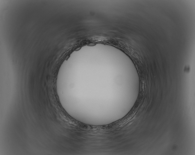 X0000093511393200710121054