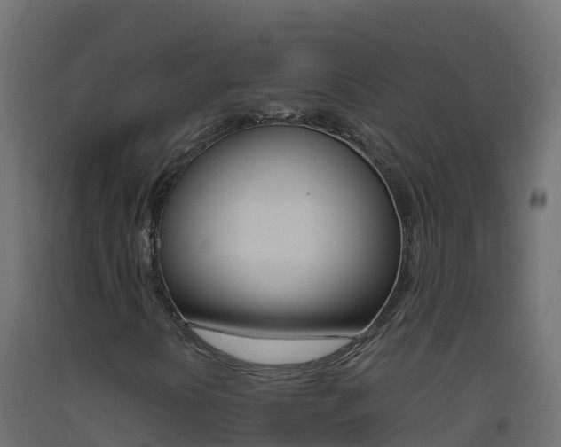 X0000093511394200710121054