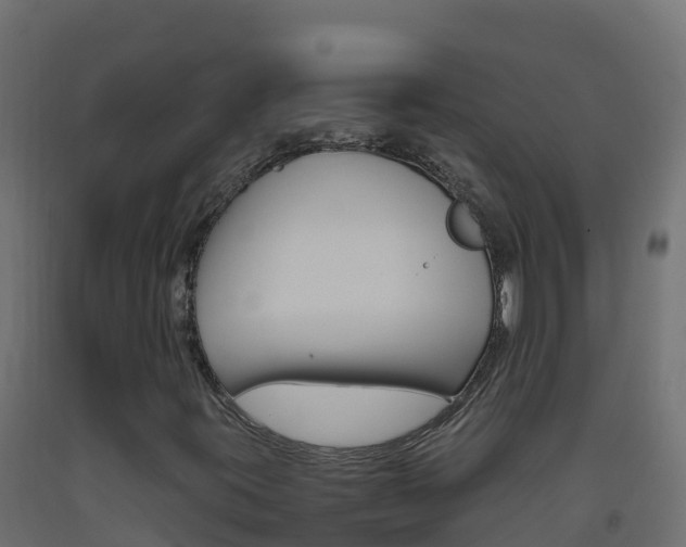 X0000093511395200710121054