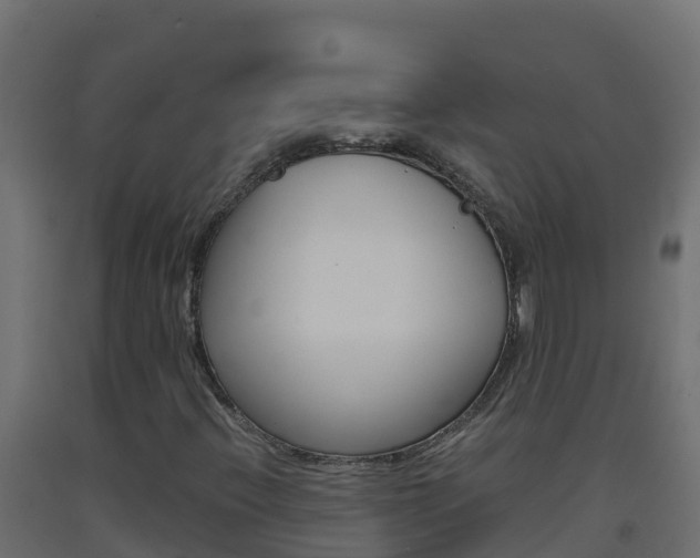 X0000093511396200710121054