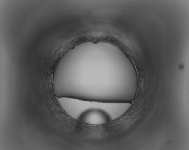 X0000093511397200710121054