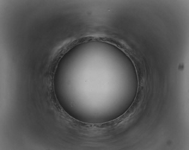 X0000093511398200710121054