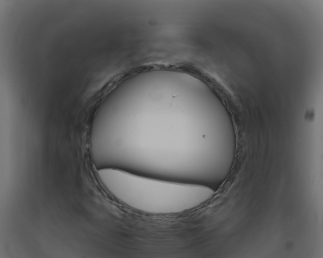 X0000093511399200710121054