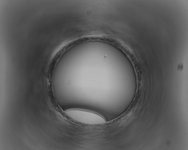 X0000093511400200710121054