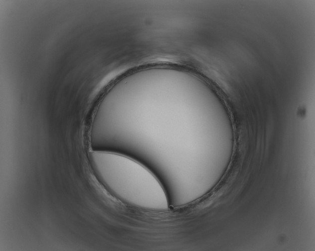 X0000093511404200710121054