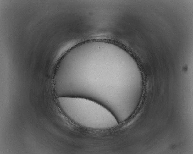 X0000093511405200710121054