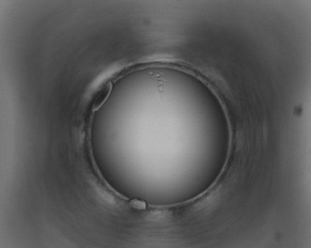 X0000093511406200710121054