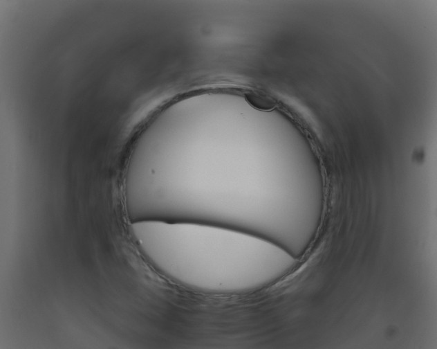 X0000093511407200710121054