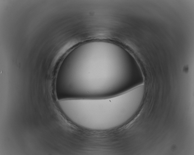 X0000093511410200710121054