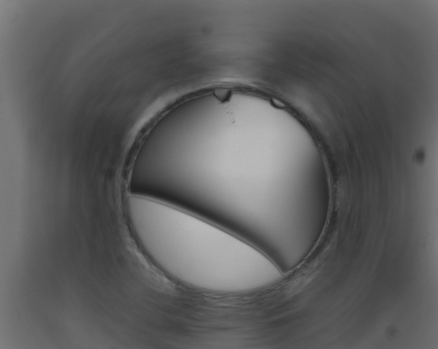 X0000093511412200710121054