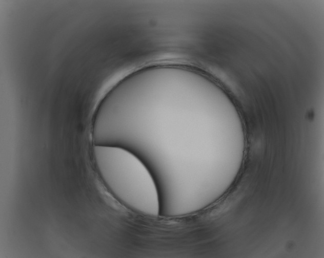 X0000093511413200710121054